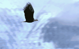 上市公司动态 东山精密拟H股上市格林美向港交所递交上市申请保利发展拟发行不超过150亿元公司债券